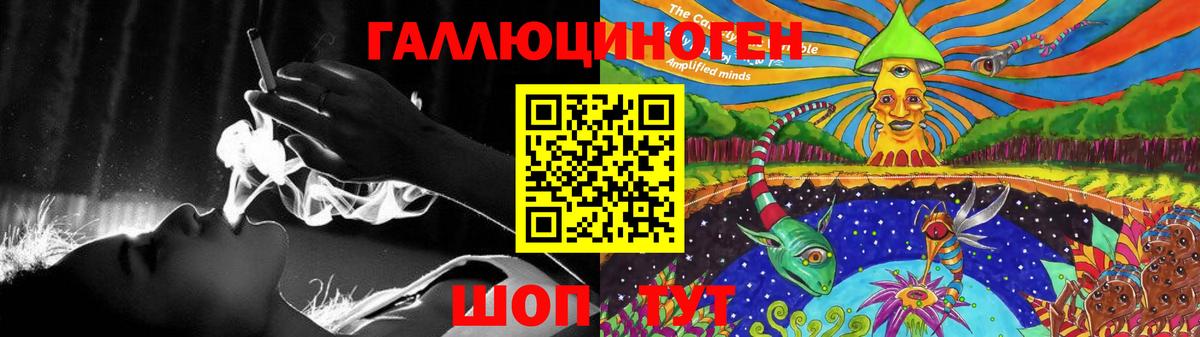 Псилоцибиновые грибы прущие грибы  Вход с VPN  Каменка 