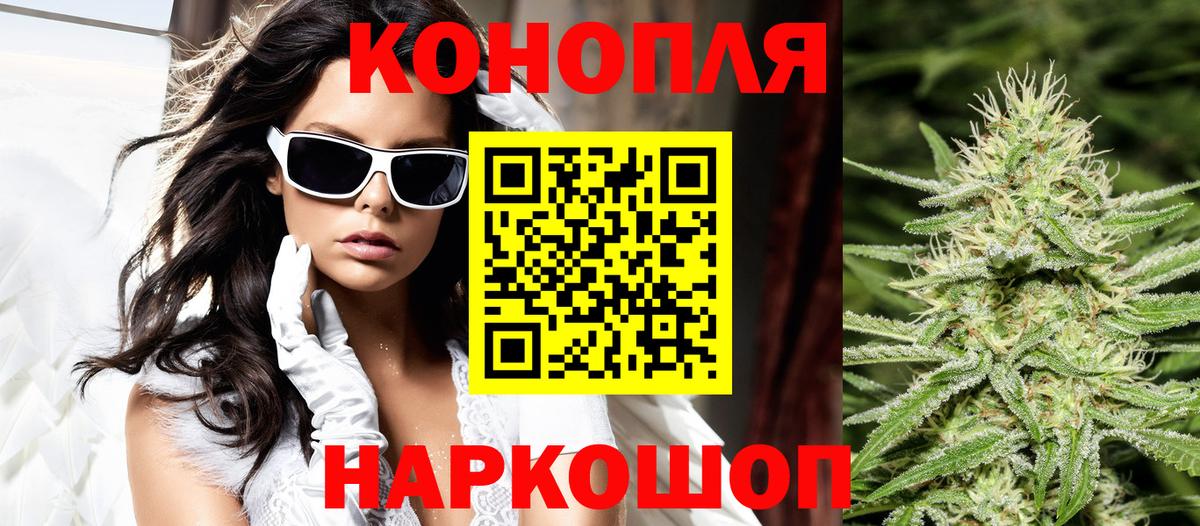 Шишки марихуана планчик  Вход с VPN  Канабис THC 21%  Каменка  Шишки марихуана план  МАРИХУАНА планчик 
